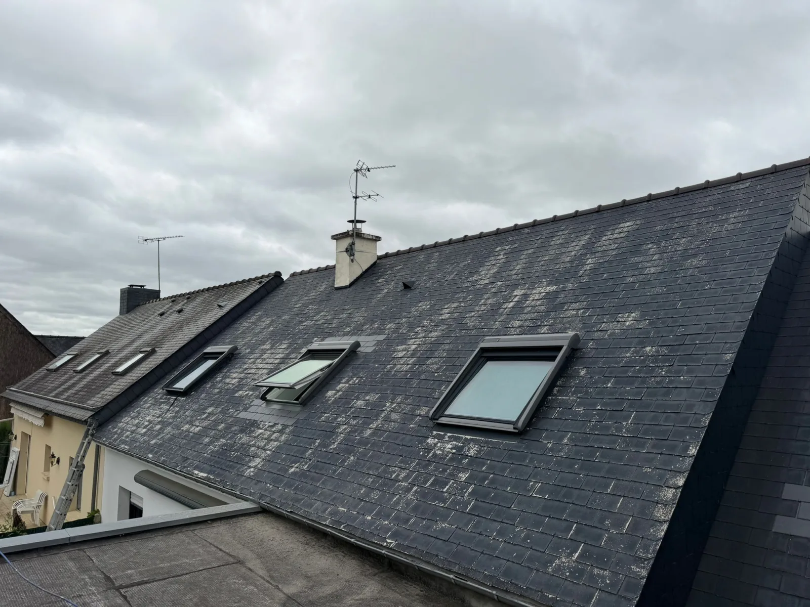 Toiture en ardoise couverte de lichen avant nettoyage — chantier Sanchez Rénov en Bretagne